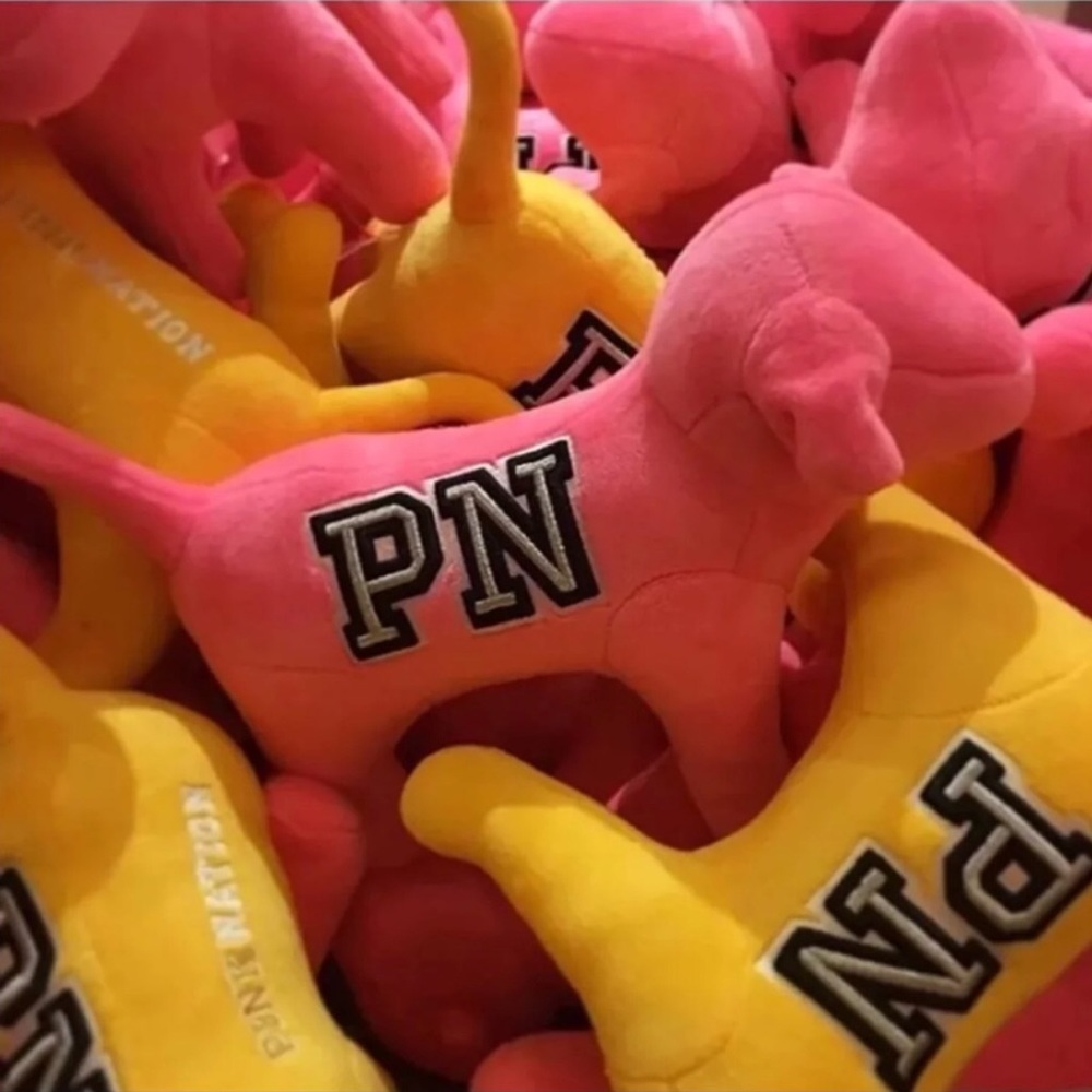 BNIP Victoria’s Secret Pink Nation Plush Cozy Dog